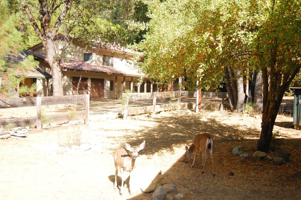 וואוונה 9N Fox Hollow מראה חיצוני תמונה